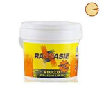 Stucco in Pasta Kg.0,250 (RASSASIE)