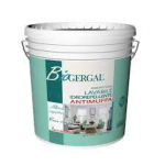 BIOGERGAL Idropittura lavabile idrorepellente antimuffa Base NTR Lt. 0,750