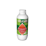 AREASAN RISANANTE Soluzione igienizzante per il risanamento di murature contaminate da muffe LT.1