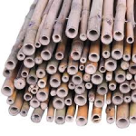 ARELLA CANNA PASSANTE 200X300