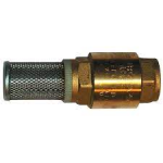 VALVOLA DI FONDO (PIGNA) 1" C/RETINA